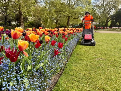 TurfProUK's tweet photo. Westminster goes green! 🔋

🌍 #Krinkles UK has taken delivery of its first @kress_uk electric equipment, marking the start of its journey toward a fully electric solution on its prestigious Westminster contract.

👉 https://t.co/9qRDbSTH6a https://t.co/Co8F8KeqJZ