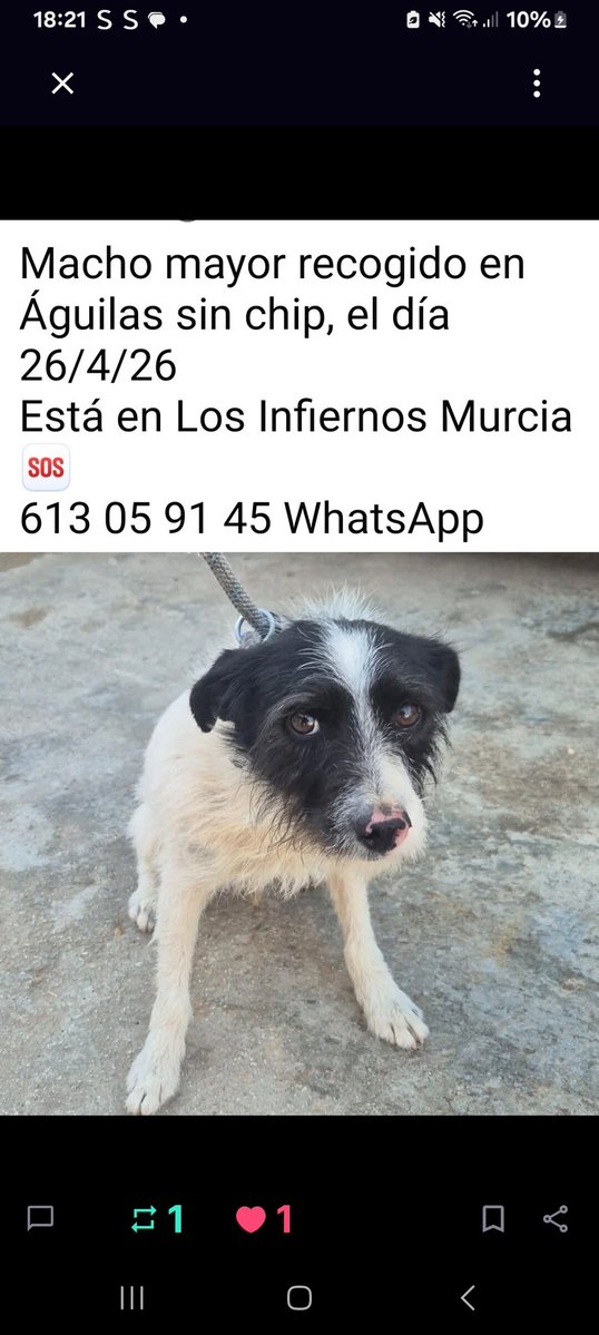 Lola tweet media