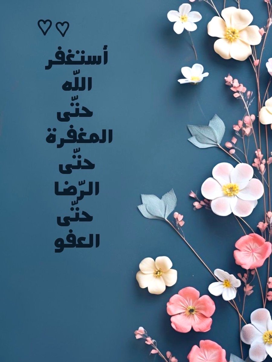 توليب|Tulip🌷 tweet media