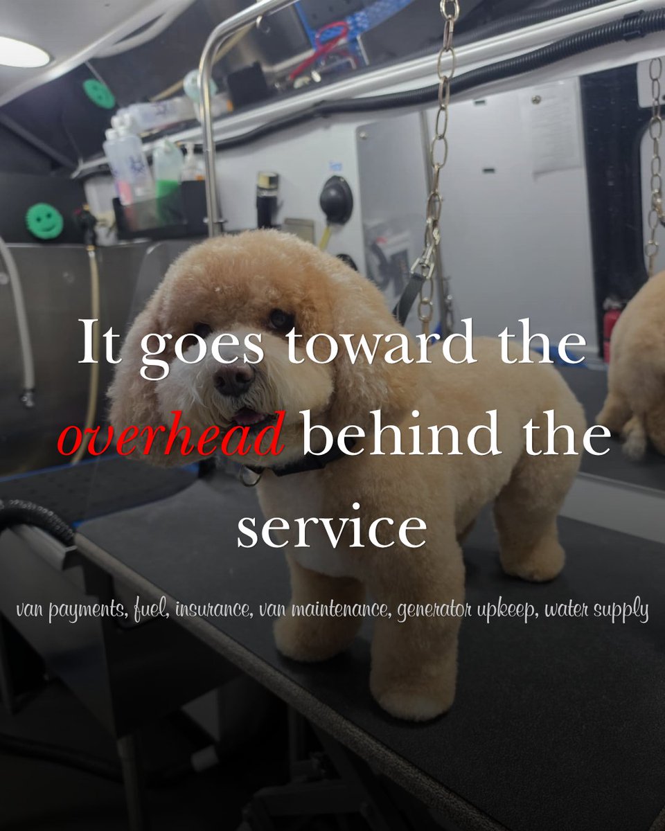 Exclusivepet's tweet photo. Nobody talks about what it actually costs to run a mobile grooming fleet. We will. 7 vans. A full team. Premium products. Insurance. Fuel. All of it goes into every appointment. 

Our 2026 pricing reflects the work we put in every single day.

📅 https://t.co/y9JjGEybYm https://t.co/LCG5U2jwN2