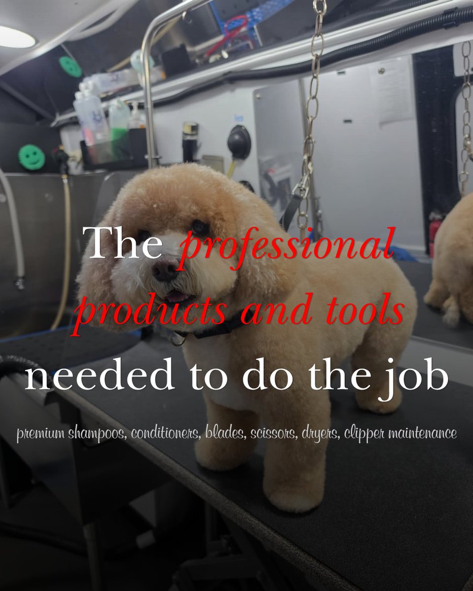 Exclusivepet's tweet photo. Nobody talks about what it actually costs to run a mobile grooming fleet. We will. 7 vans. A full team. Premium products. Insurance. Fuel. All of it goes into every appointment. 

Our 2026 pricing reflects the work we put in every single day.

📅 https://t.co/y9JjGEybYm https://t.co/LCG5U2jwN2