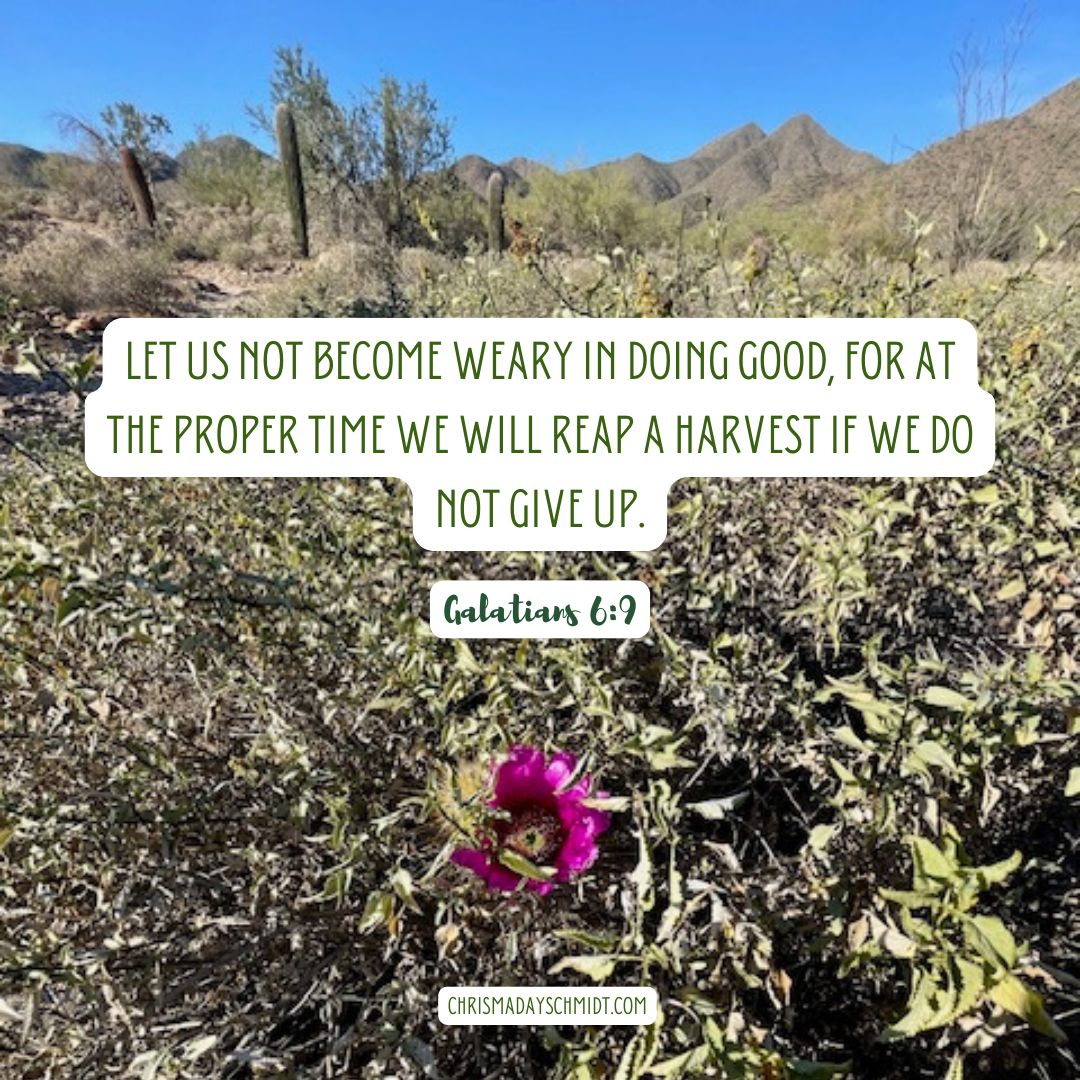 AlwaysWriteTime's tweet image. “Let us not become weary in doing good…” — Galatians 6:9 
#MondayMindset #WordOfGod #ScriptureReflection #wordoftheday