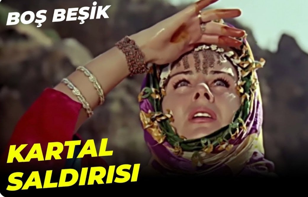Mutlu Karaer tweet media