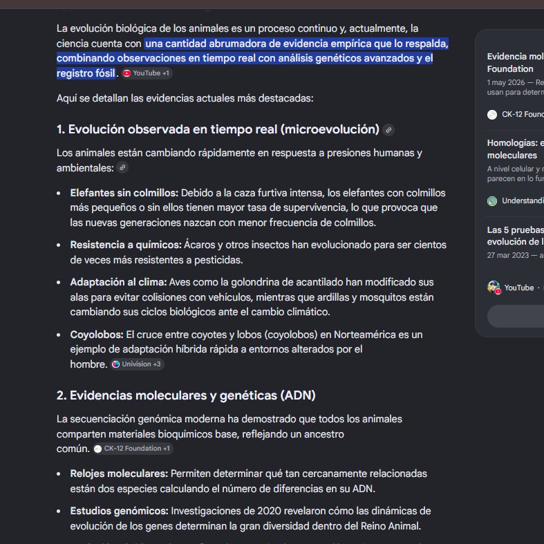 Belduque tweet media