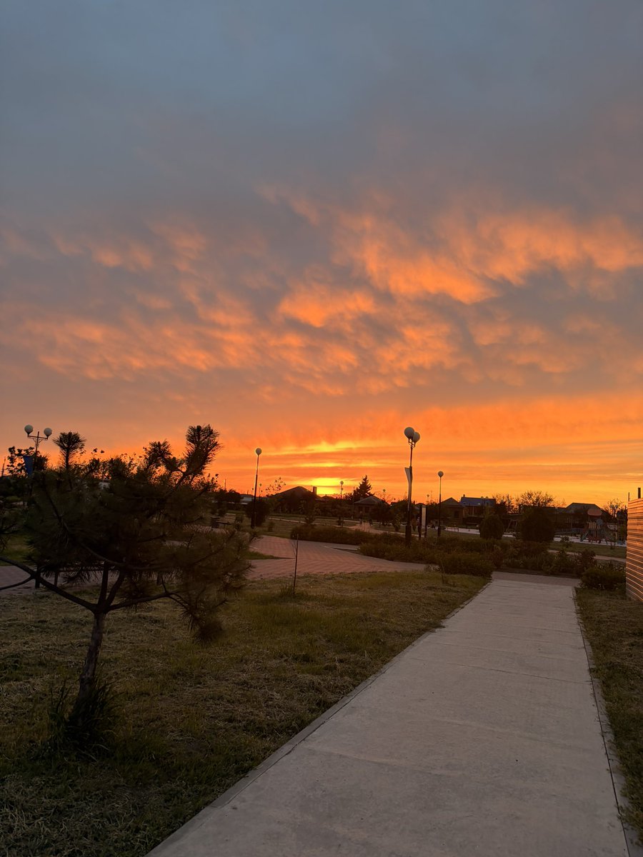 dragoninkcb's tweet photo. Such an amazing sunset, I like to walk before going to bed, you always need to put out unnecessary thoughts in the evening after a long day🤍
#sunset #goddess #lifestyle https://t.co/jTJni3ZhlB