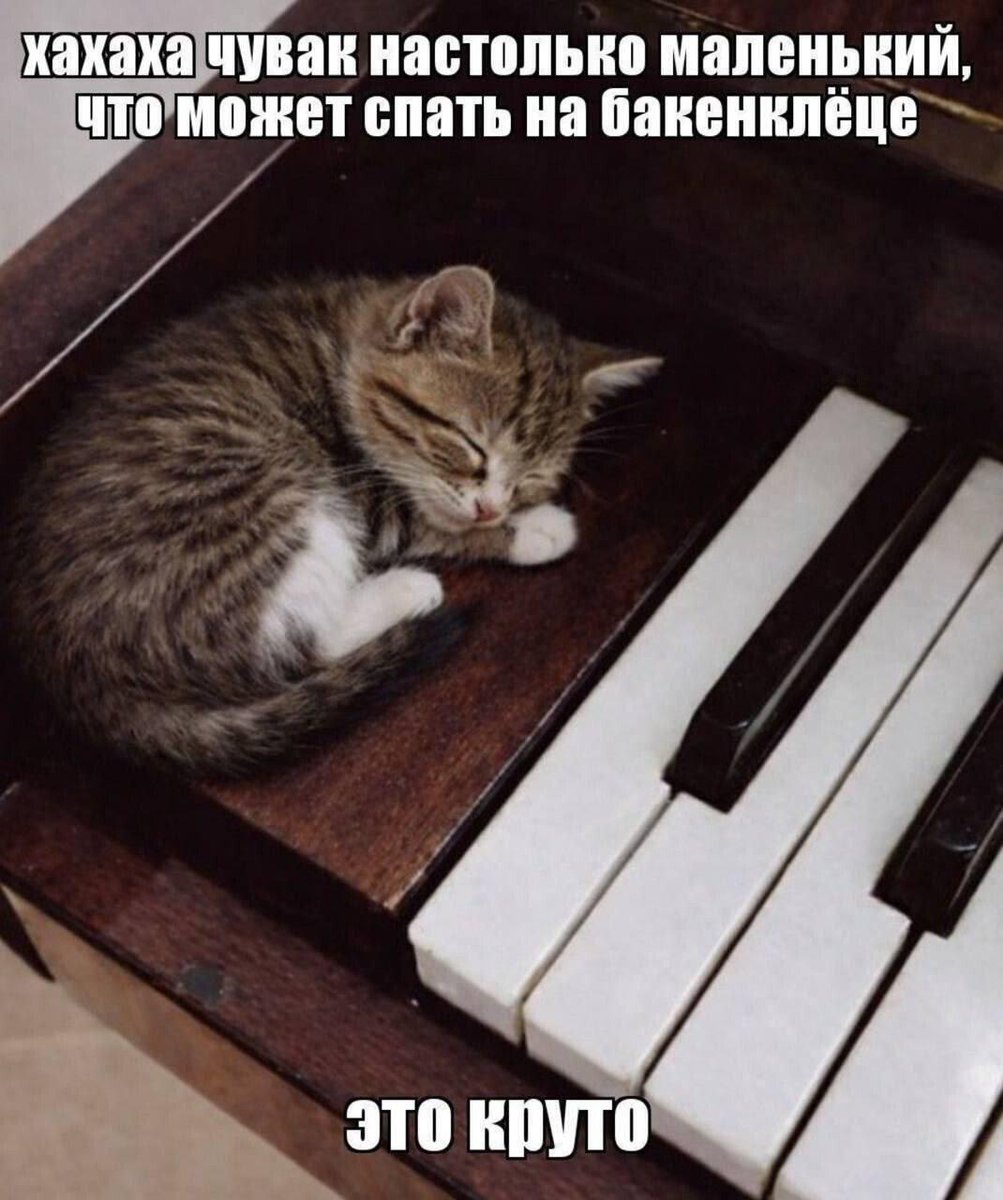 вечно молодой вечно piano