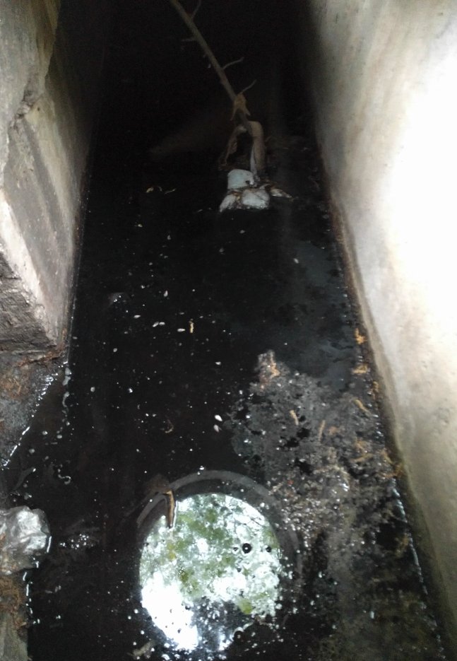 whiteknuckled's tweet photo. @_DCHealth @DOEE_DC @dcwater @311DCgov  Whose repsonsbility is it clean out the catch basins? Every single one looks like this, long after the last rain. Will soon be hatching 1 million mosquitos per week, if that's something you are interested in stopping. https://t.co/j6CTWA1mb6