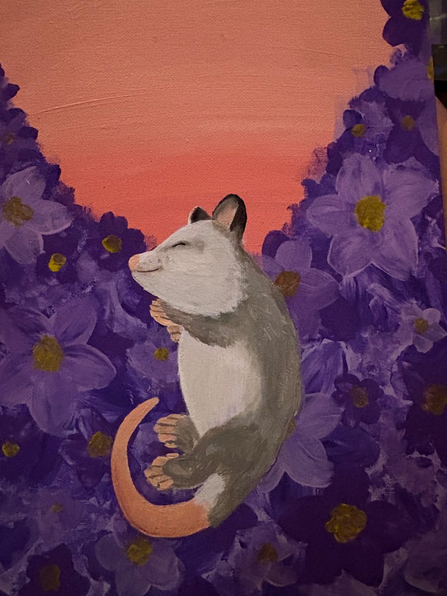 art_angel0's tweet image. Possum painting &amp;lt;3 #painting