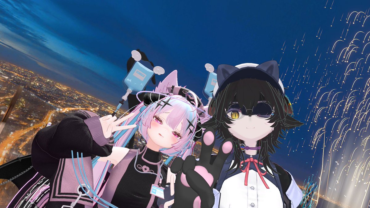 曖昧な猫 tweet media