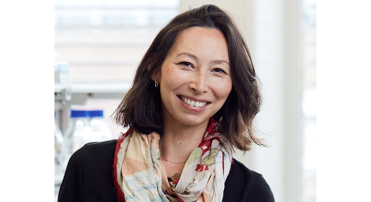 organoidscience's tweet image. A new #review from Drs. Ida Calvi (@CalviIda) and Margherita Turco highlights how 3D human #trophoblast organoid systems are transforming our ability to investigate human placental biology in #pregnancy. 🤰 

Read it in @FEBS_Letters: bit.ly/4dmAAZc