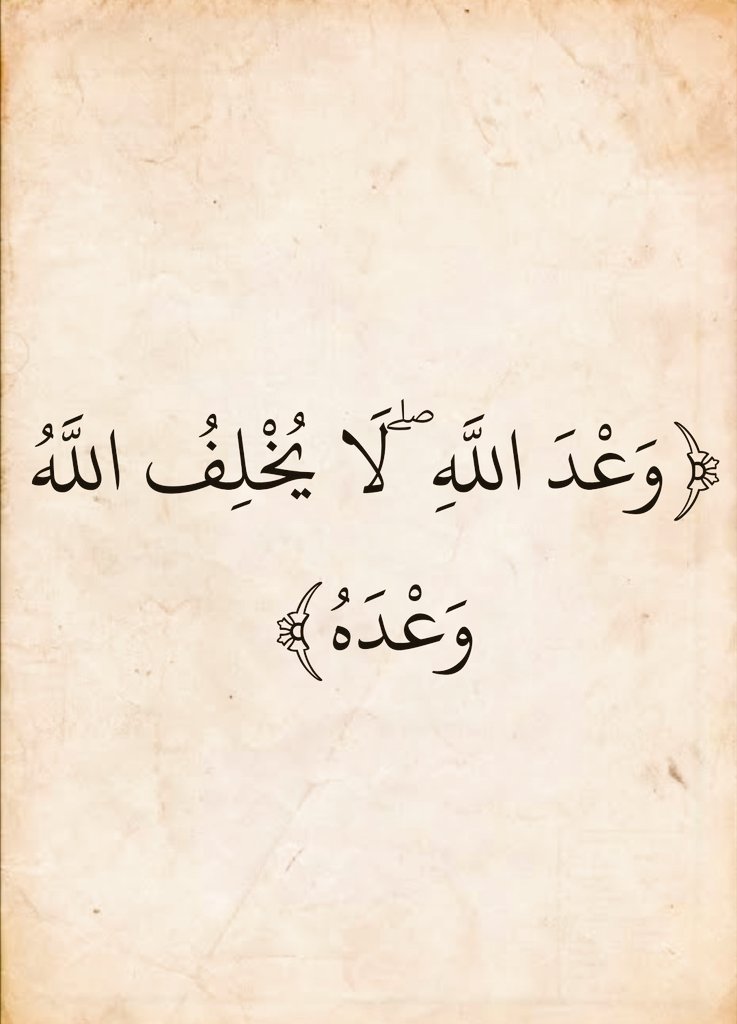أبو راشد tweet media