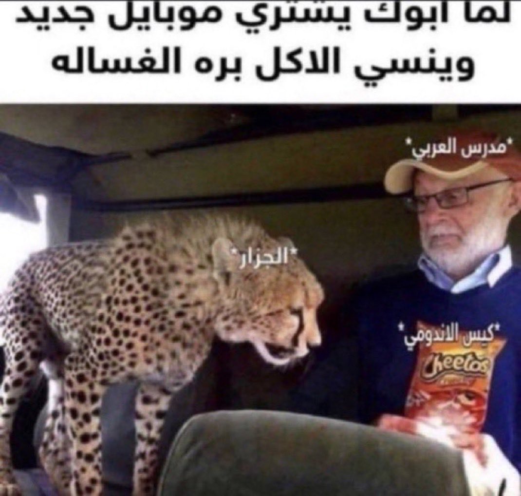 . tweet media
