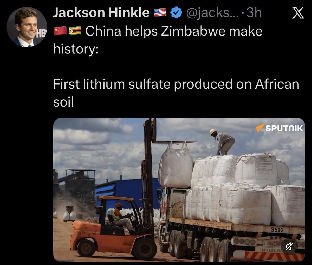 WithoutHistory tweet media