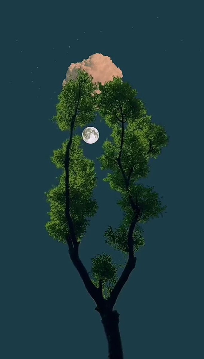🌿 tweet media