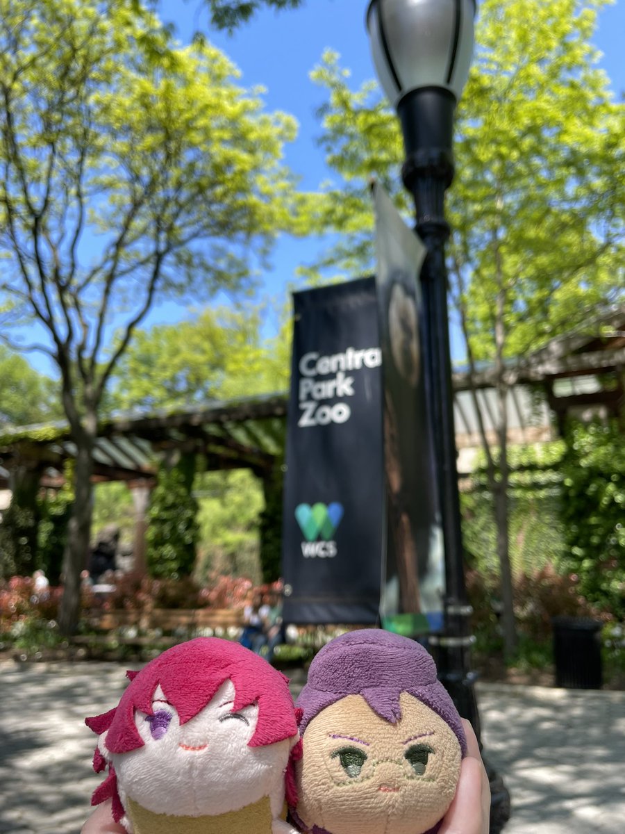 🐸り tweet media