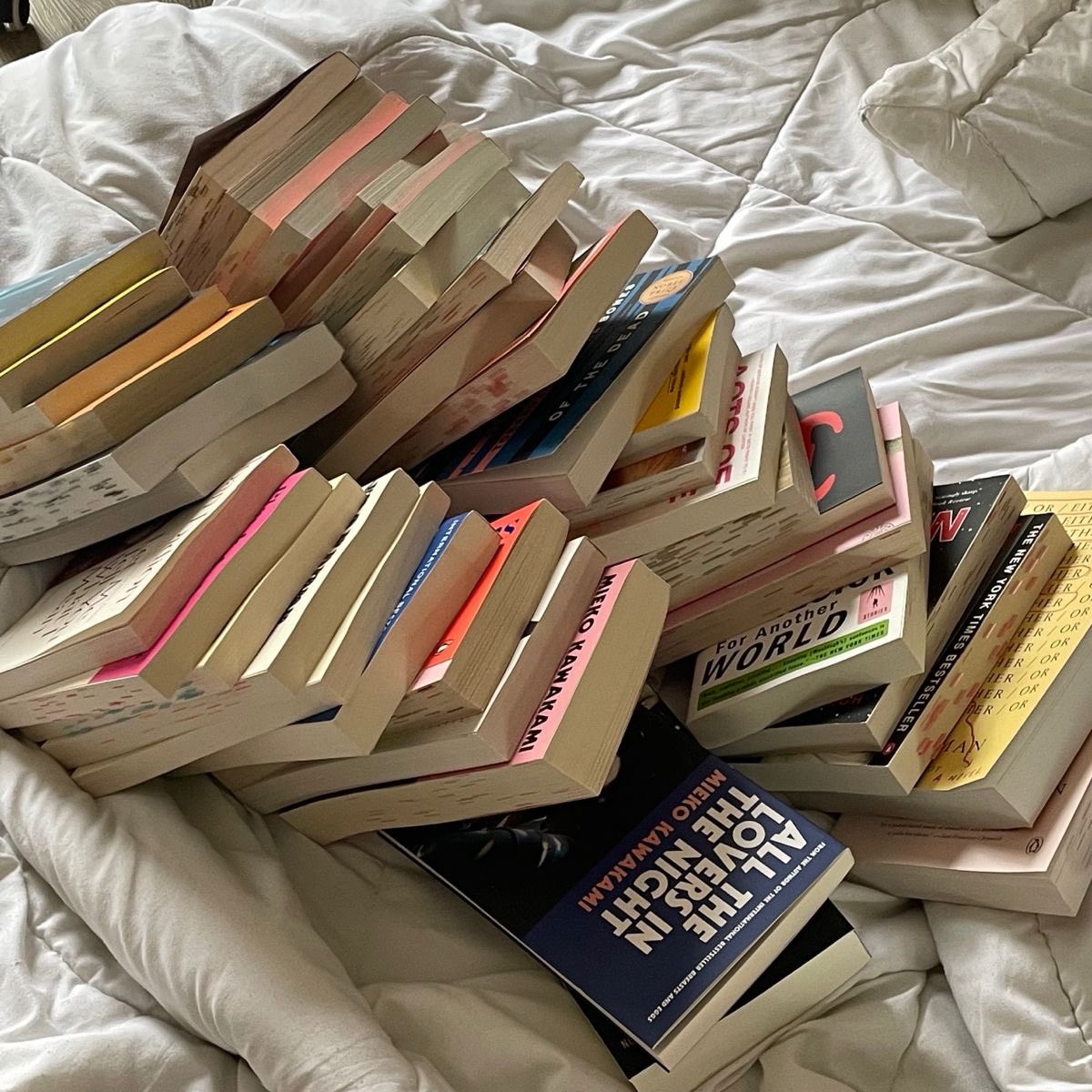 Paperback Princess tweet media