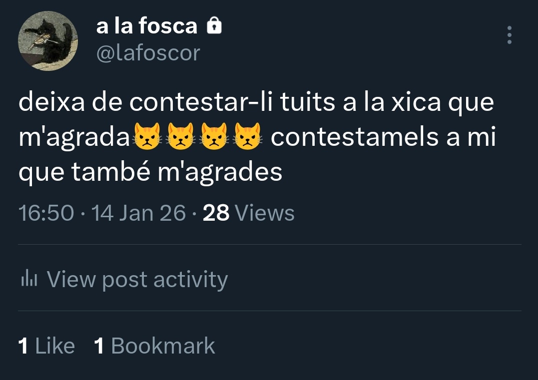 llum de gas 🏳️‍⚧️ (maestrat independent) tweet media