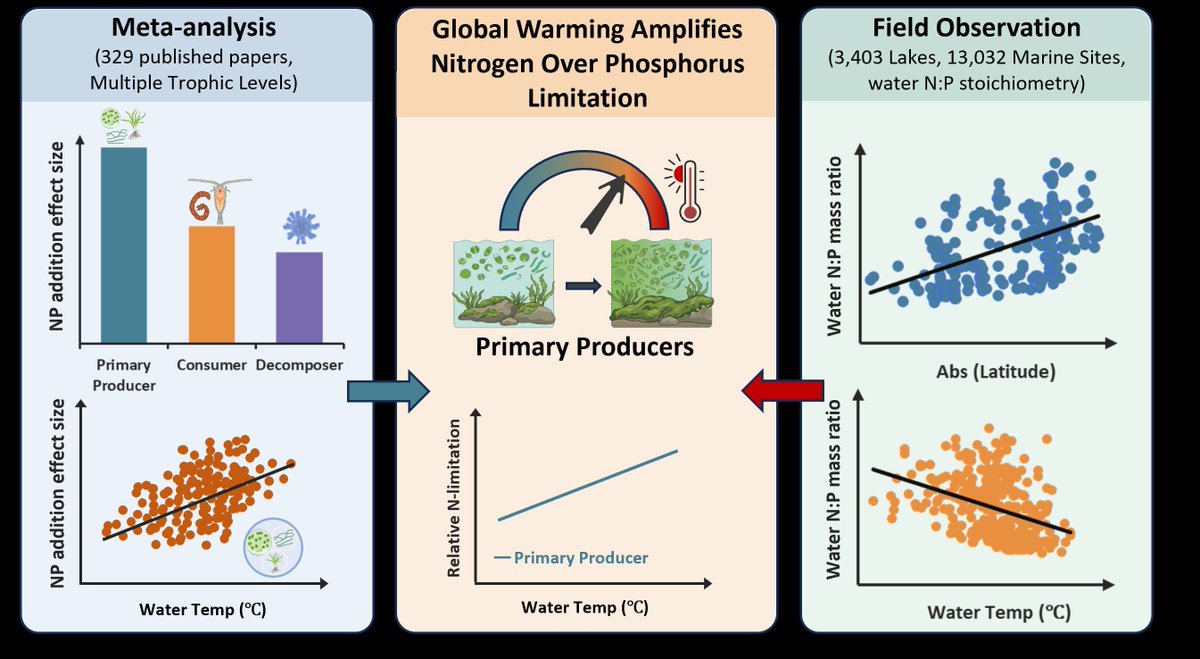 Global Change Biology tweet media