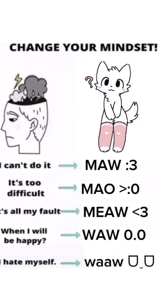 Kai :3 tweet media