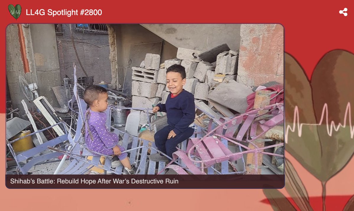 lifeline4gaza.com tweet media