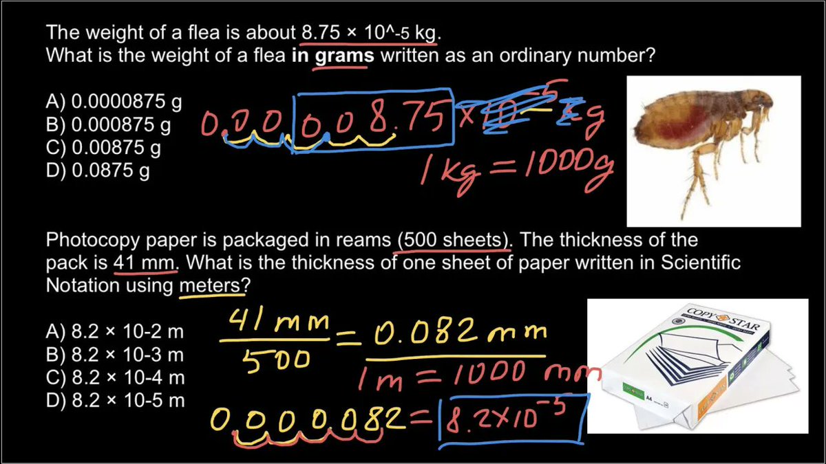 geneticslesson's tweet photo. Scientific notation Practice problems https://t.co/vKPwqO7S6h https://t.co/r1eLWn0JZW
