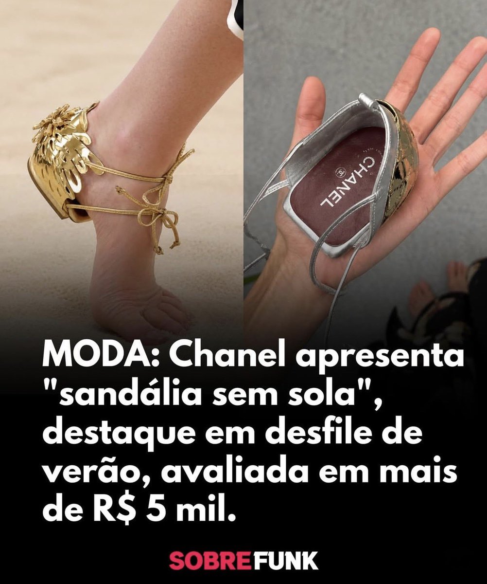 Fernanda tweet media