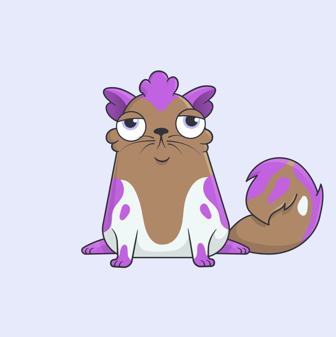 TheJPEGGallery ⌐◨-◨ tweet media