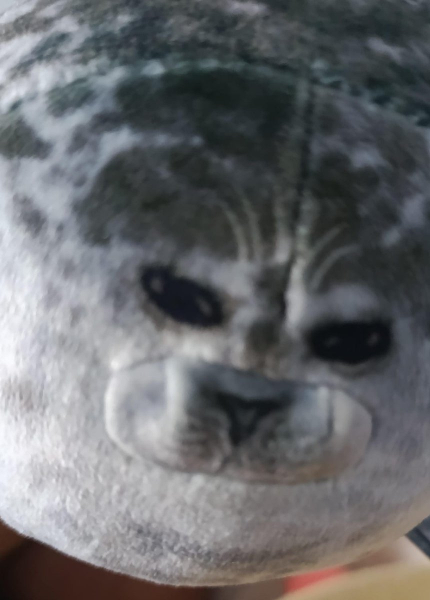 . ݁ 𓂃 𝓐 . 𝐓͟𝐀͟𝐂͟𝐇͟𝐘͟𝐎͟𝐍͟ 。 tweet media