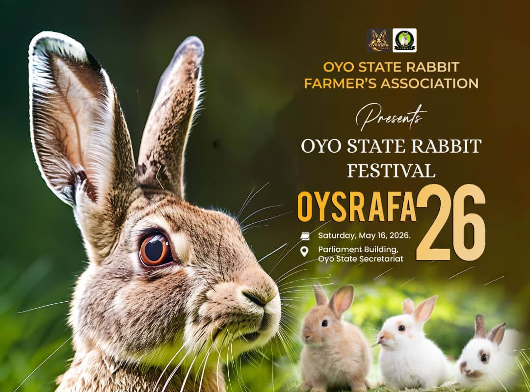 GideonOLUDAYOMI's tweet image. If you are in Oyo state, try to make it a date on this day...especially those of you yet to believe that rabbit meat is solid meat bigger than chicken. 
#Oyoaffairs #Ibadan #rabbitfarming #whitemeat #Nutrition #Investment #oppurtunity #rabbitmeat #rabbitfestival