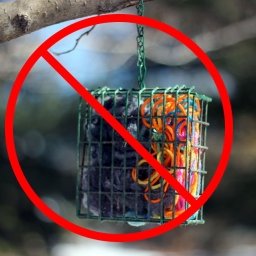 Give A Shit About Nature tweet media