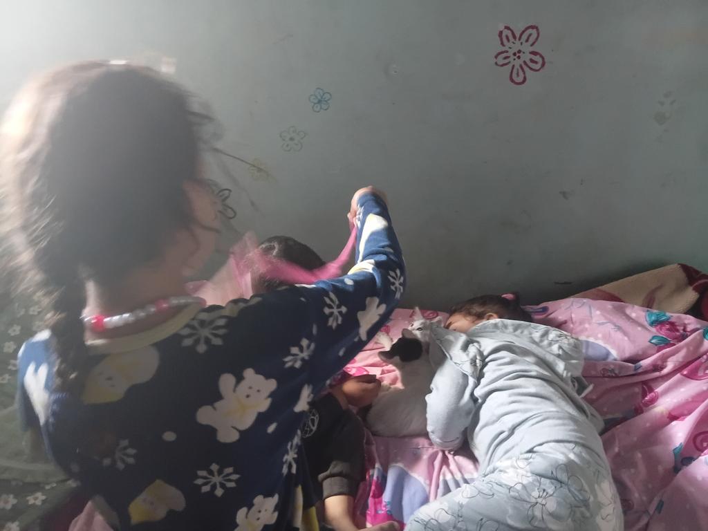 They sleep next to their friends' cats, perhaps hoping to find safety with them. 
They dream of returning to their home that used to bring them together in all seasons. 
Please support my family; they deserve your support.