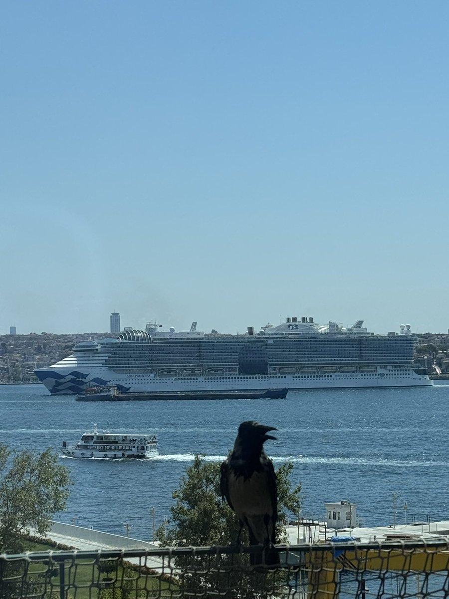 1sudert's tweet photo. filtreyle arap ülkelerine benzettikleri istanbulun güzelliği 🤩 https://t.co/nHGqsAcpkz