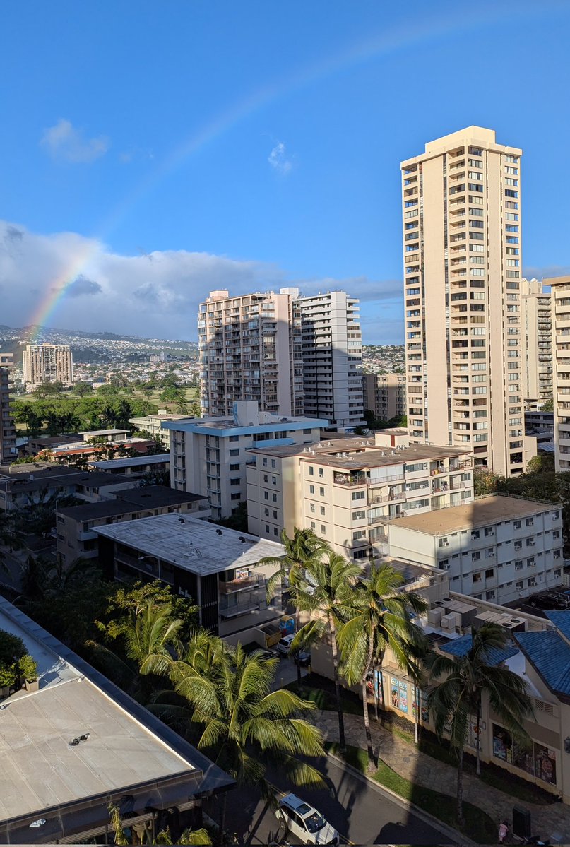 RyanGibbsWriter's tweet image. #Aloha from #Honolulu 👋🏝🩵