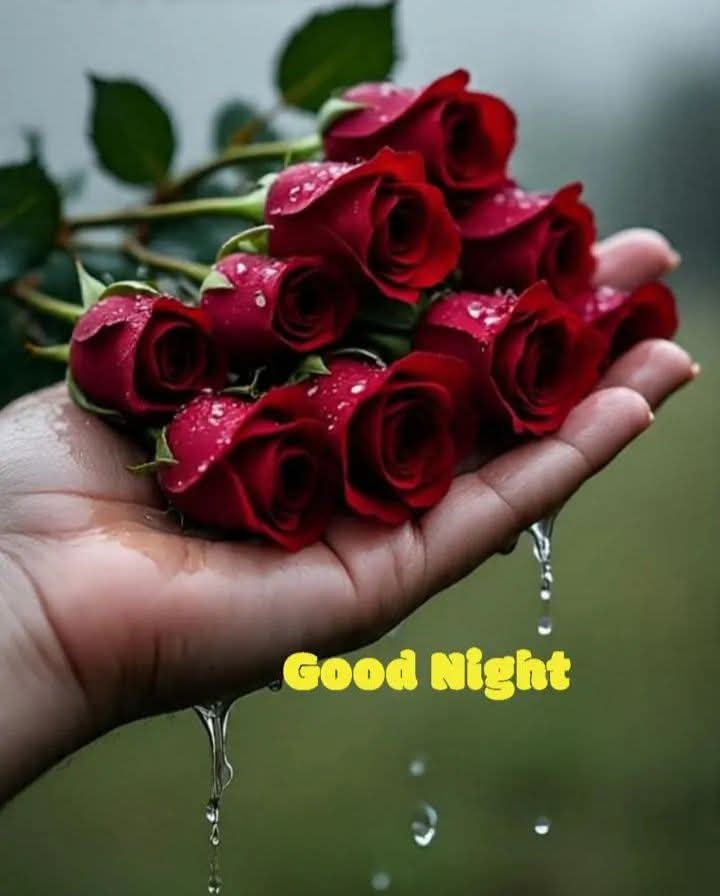 Seema Singh tweet media