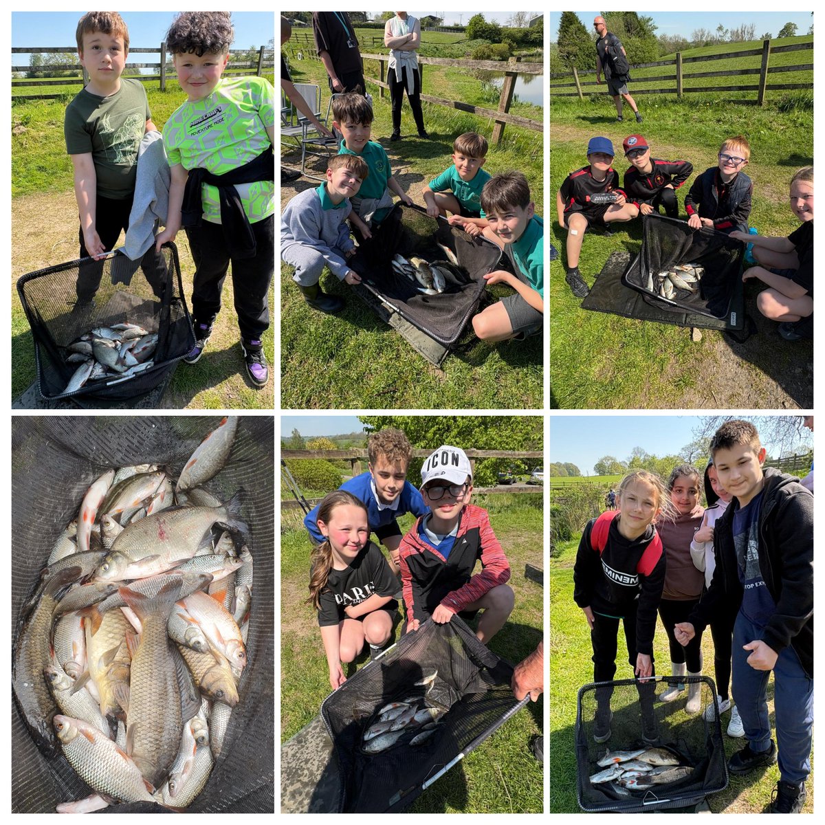 MSmed4's tweet image. #FeelGoodFridayFishing with our weekly school groups. A lake full of young anglers having fun, learning new skills, working together, laughing and joking, catching fish, socialising and congratulating each other is what makes Friday mornings so enjoyable and rewarding. Superb! 🎣