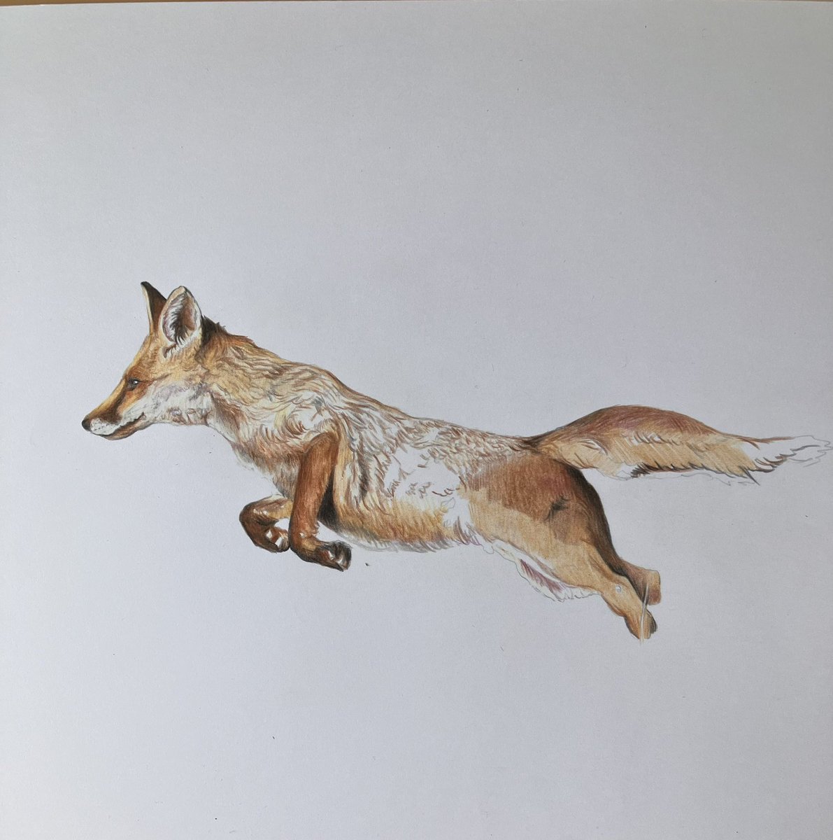 Lisa Wellwood Artist tweet media