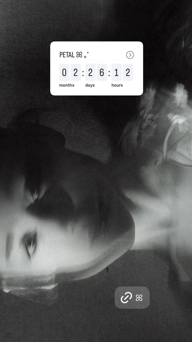 Ariana Grande via Instagram story 🤍