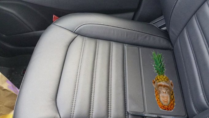 pineapple chimp tweet media