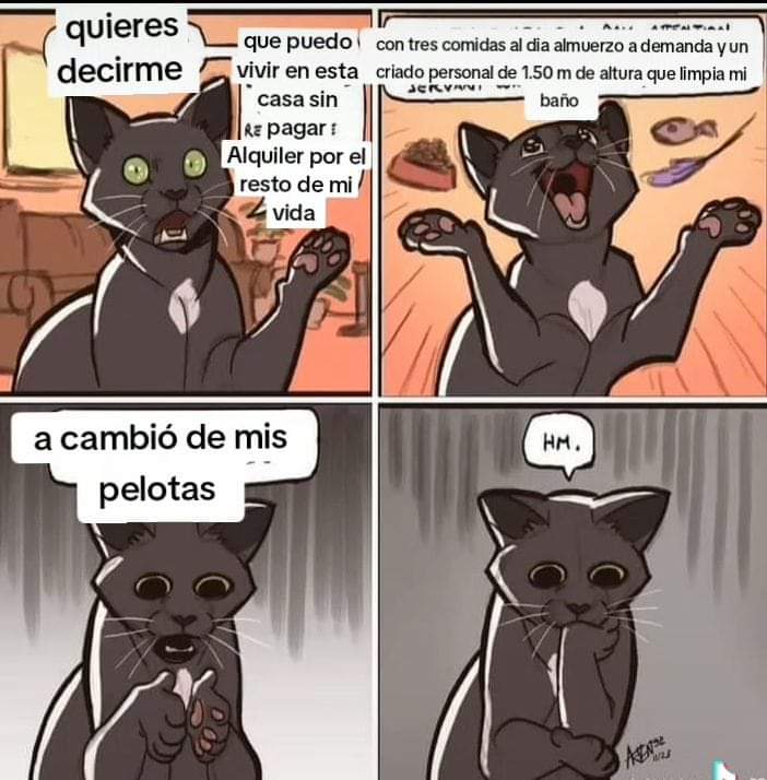 Ana_LaPatata tweet media