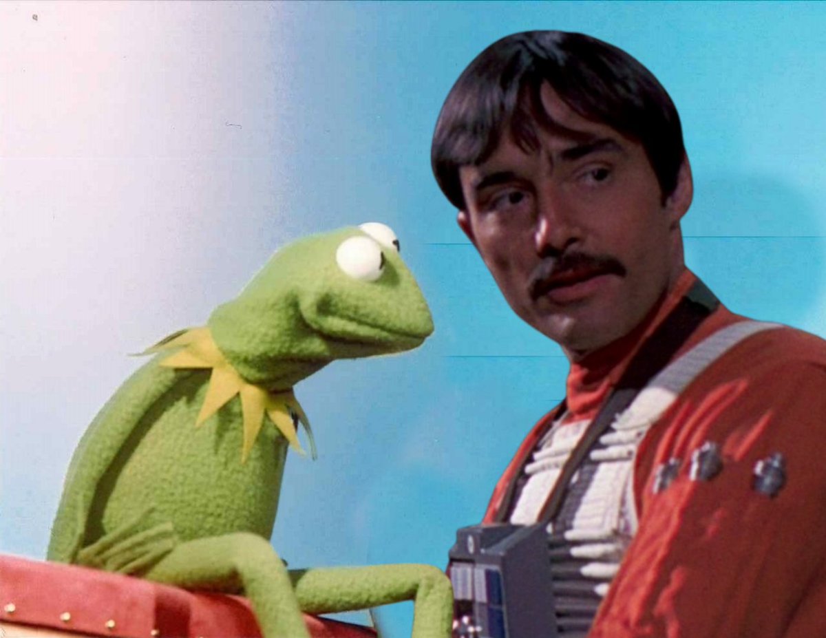 Fake Muppet Show Guests tweet media
