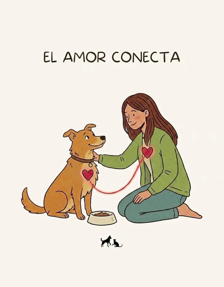 Guate Unida por los Animales tweet media
