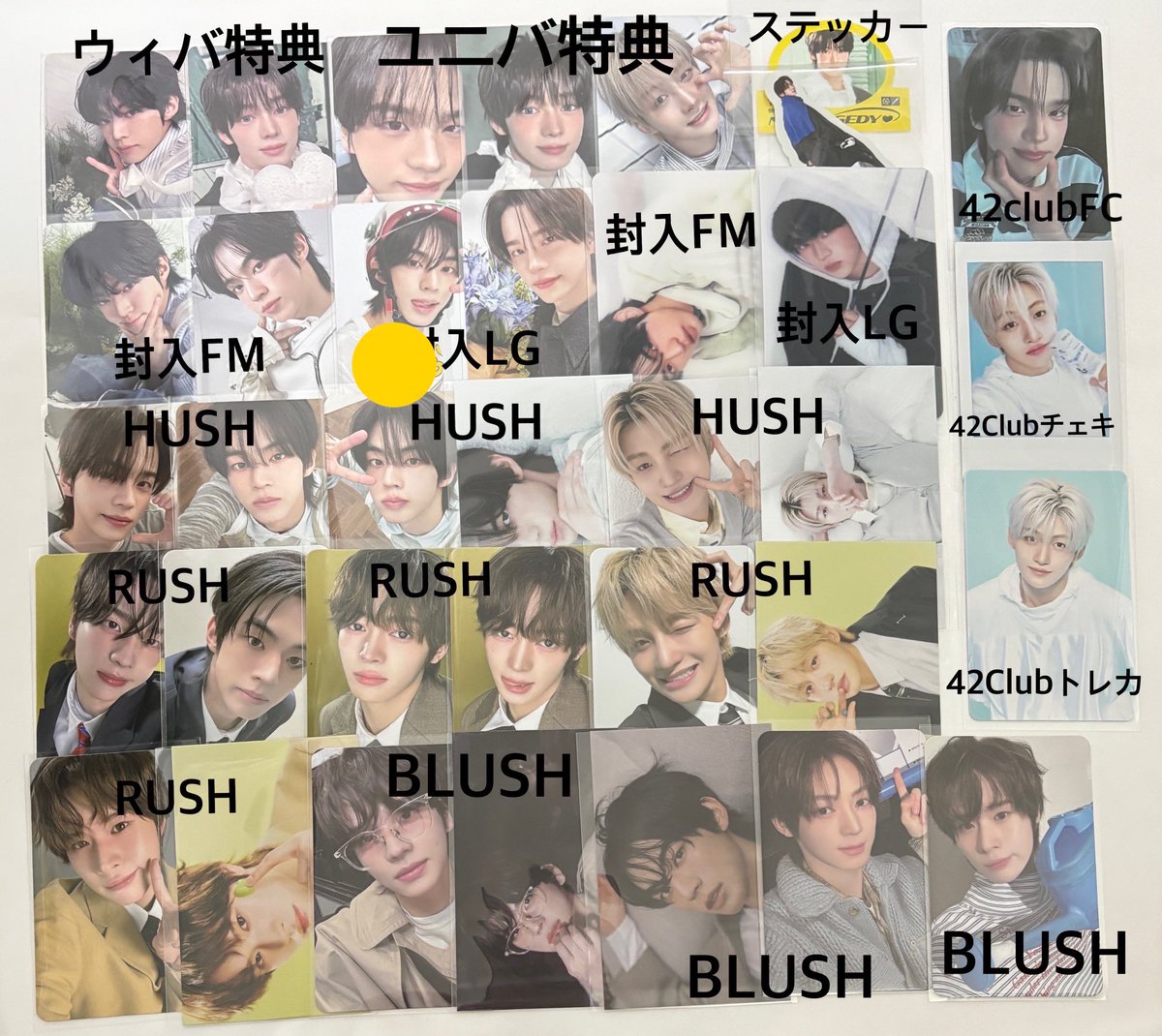 🌼 tweet media