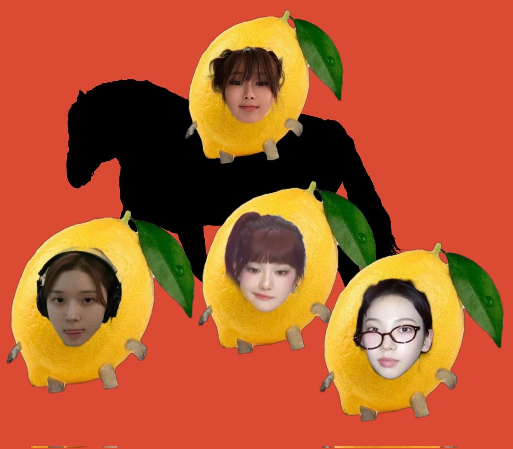 el 🐶🦊🍋 tweet media