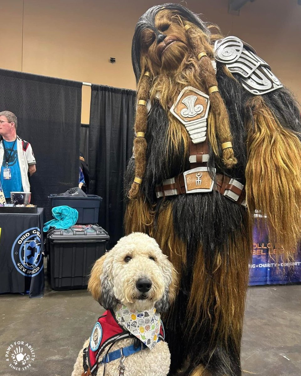 4 Paws For Ability tweet media