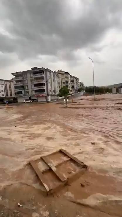 Taçsız kraliçe tweet media