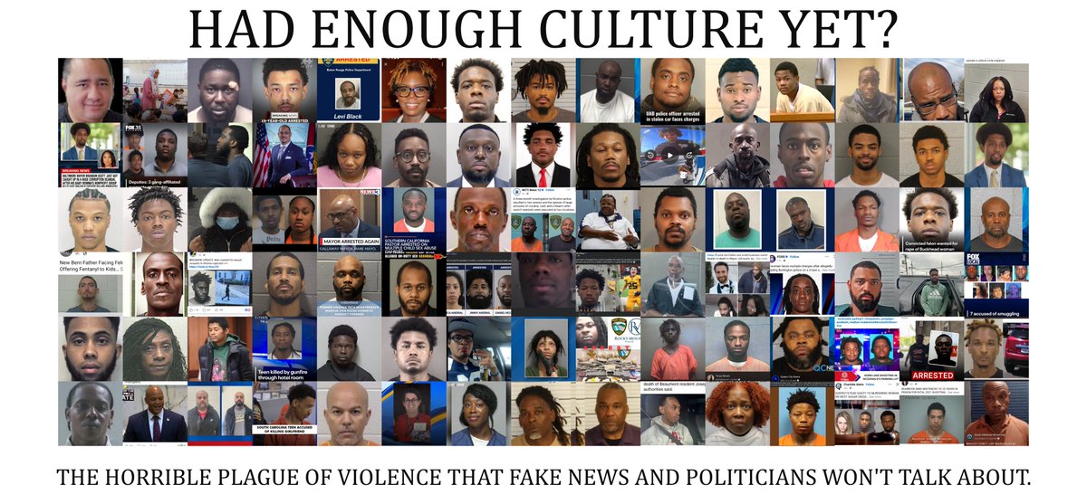 My_My_Johnson's tweet image. America's #BlackPlague #crime #violence #facts #statistics 13%/90%