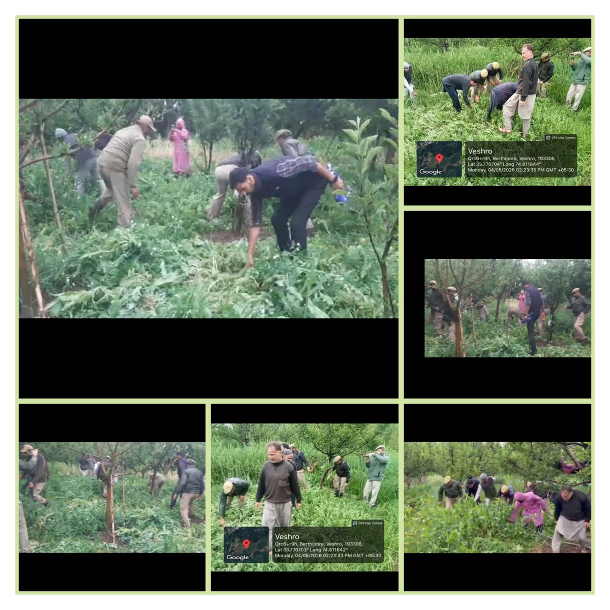ExciseCommisio1's tweet photo. Excise Range Anantnag launched a campaign against drug abuse and the illegal cultivation of Cannabis &amp; Poppy. The awareness progrms &amp; enforcement activities across multiple sub ranges were aimed at prompting Nasha Mukth Bharat Abhiyan.The events held under the aegis of NMB &amp; DFS https://t.co/GTIswheEw4