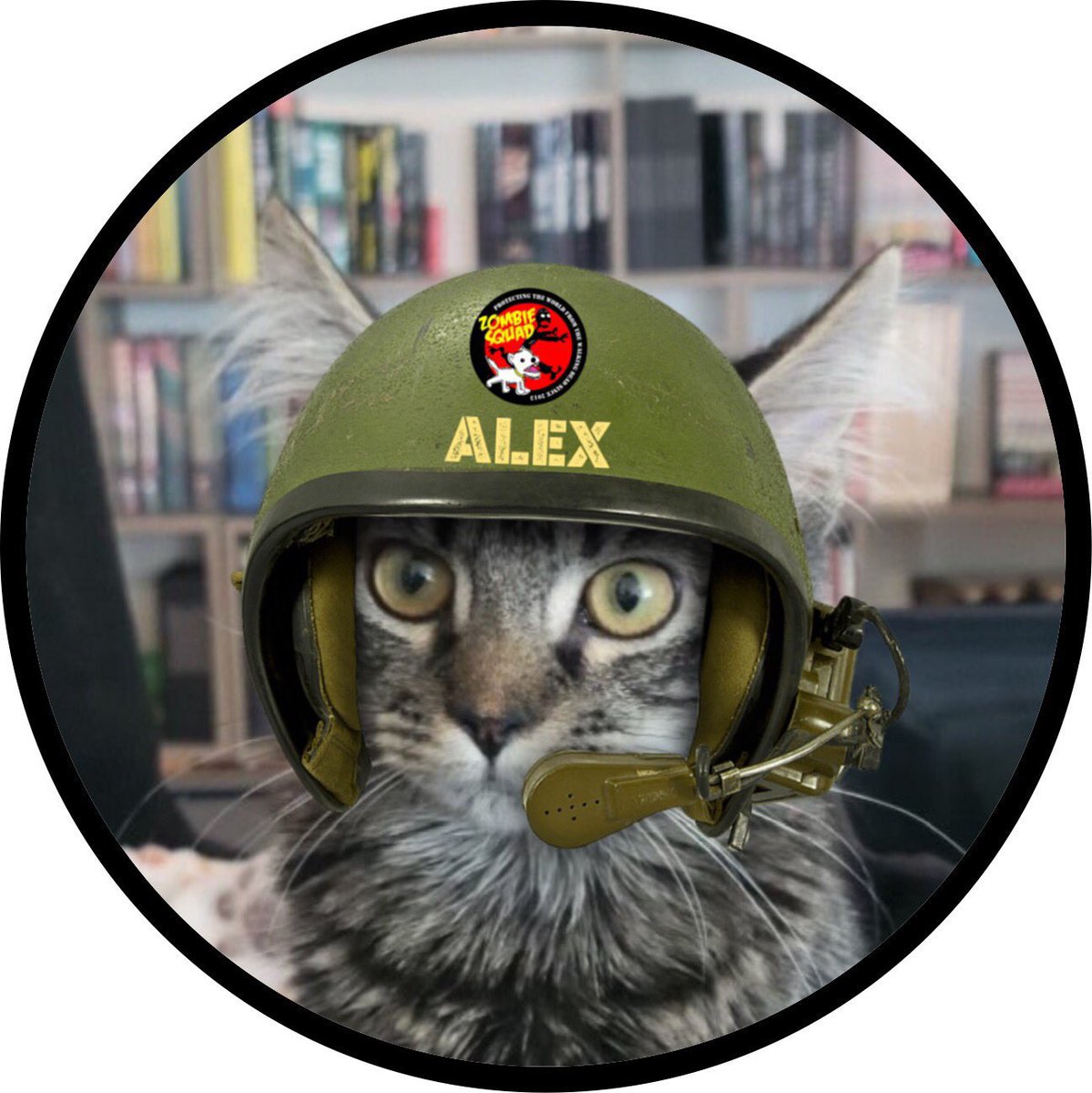 AmandaSmokeyIs1's tweet photo. @BraveWinston @TheCatMalice Concatulations brofurs! This is wonderpurr news and so well deserved. Mew leadership and dedication are an inspiration to us all in the #ZSHQ We salute mews #Raaraa https://t.co/A5lobkiu1D