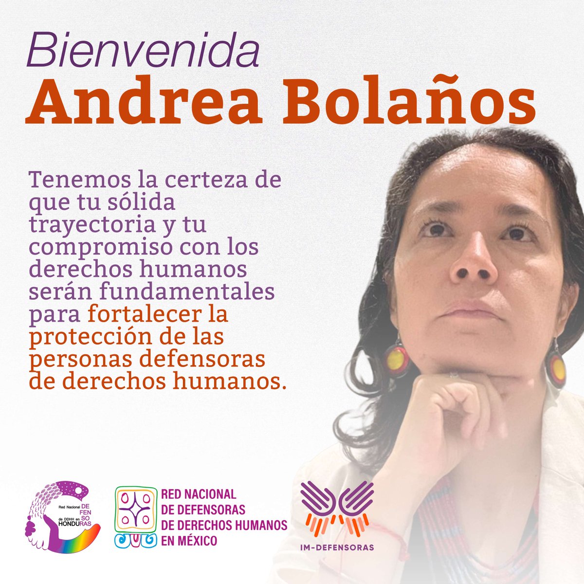 IM-Defensoras tweet media