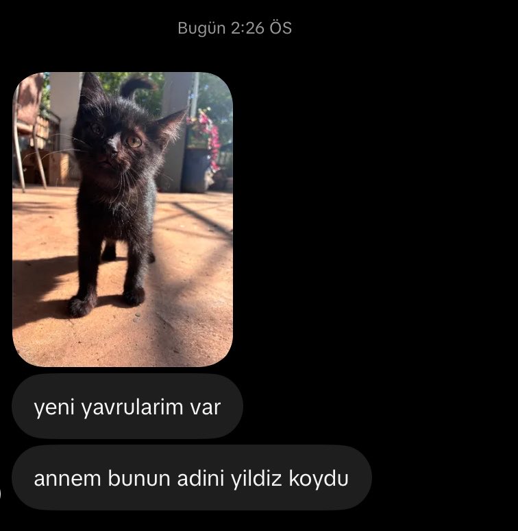 yildizstrk's tweet photo. Hava atmaya geldim https://t.co/xDZajp72sV